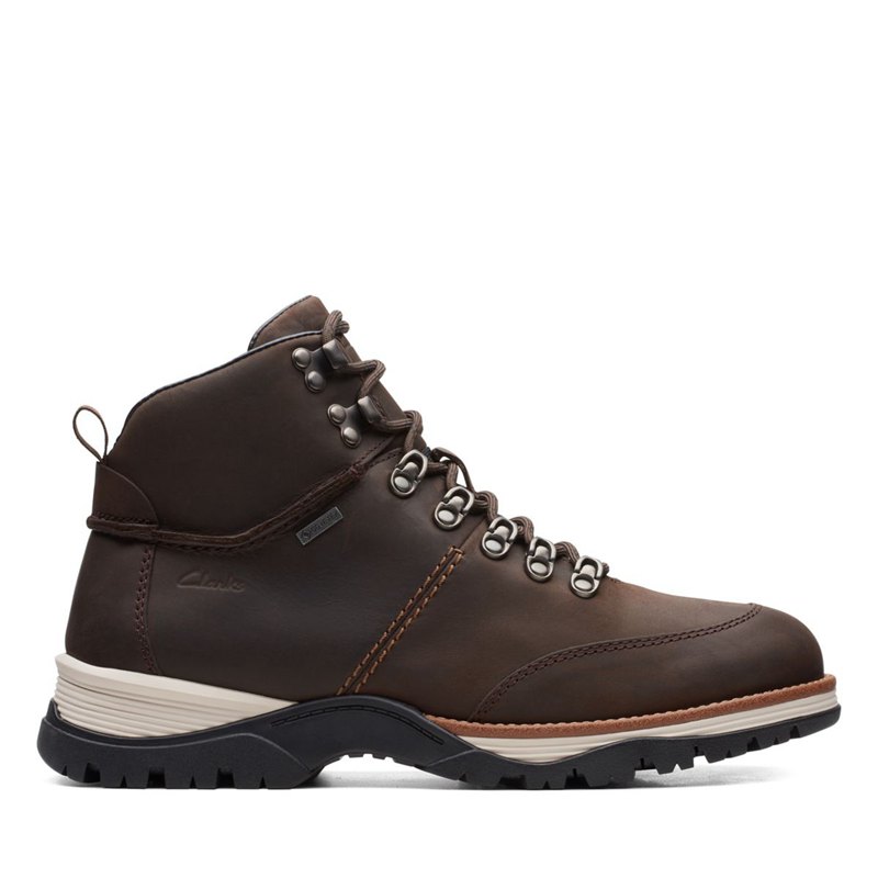 Men's Clarks Topton Pine GORE-TEX Ankle Boots Dark Brown | 10908912